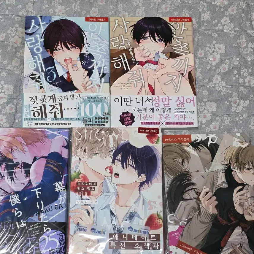 [BUNJANG] BL Manga Collection - Various Volumes / BL만화책 양도