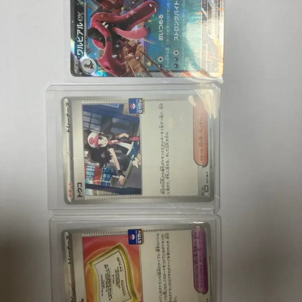 [BUNJANG] Pokemon GYM Promo Cards Bundle Set / GYM promo Pokemon card 투희 , 악비아르rr ,일반카드 일괄