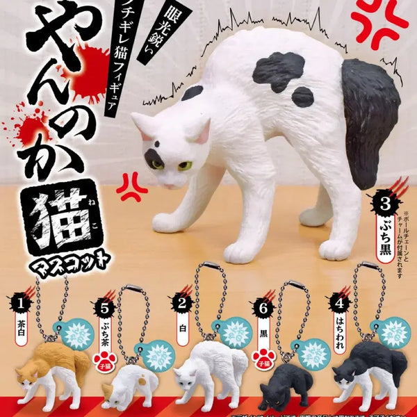 [BUNJANG] Yannoca Angry Cat Mascot Keychain Gacha / 얀노카 화난 고양이 마스코트 키링 가챠