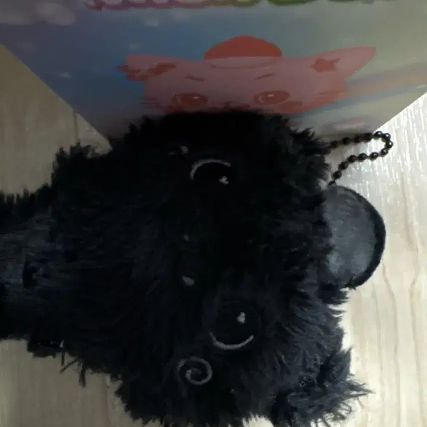 [BUNJANG] Weverse Riku Kuri Color Wish Doll Black / 리쿠 쿠리 랜덤위시돌 위부부 블랙