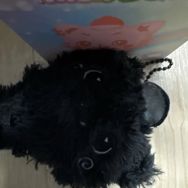 [BUNJANG] Weverse Riku Kuri Color Wish Doll Black / 리쿠 쿠리 랜덤위시돌 위부부 블랙