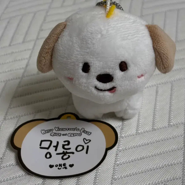 [BUNJANG] RIIZE Anton "Meongryongi" 1st Gen Doll / 멍룡이 1기 인형 라이즈 앤톤
