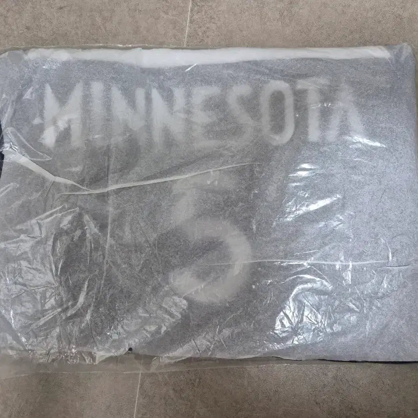 [BUNJANG] Nike Minnesota Timberwolves Anthony Edwards 'Ant-Man' Swingman Basketball Jersey (XL) / 52 XL NBA 나이키 미네소타 팀버울브스 앤써니 에드워즈 앤트맨 스윙맨 농구 저지 유니폼 정품