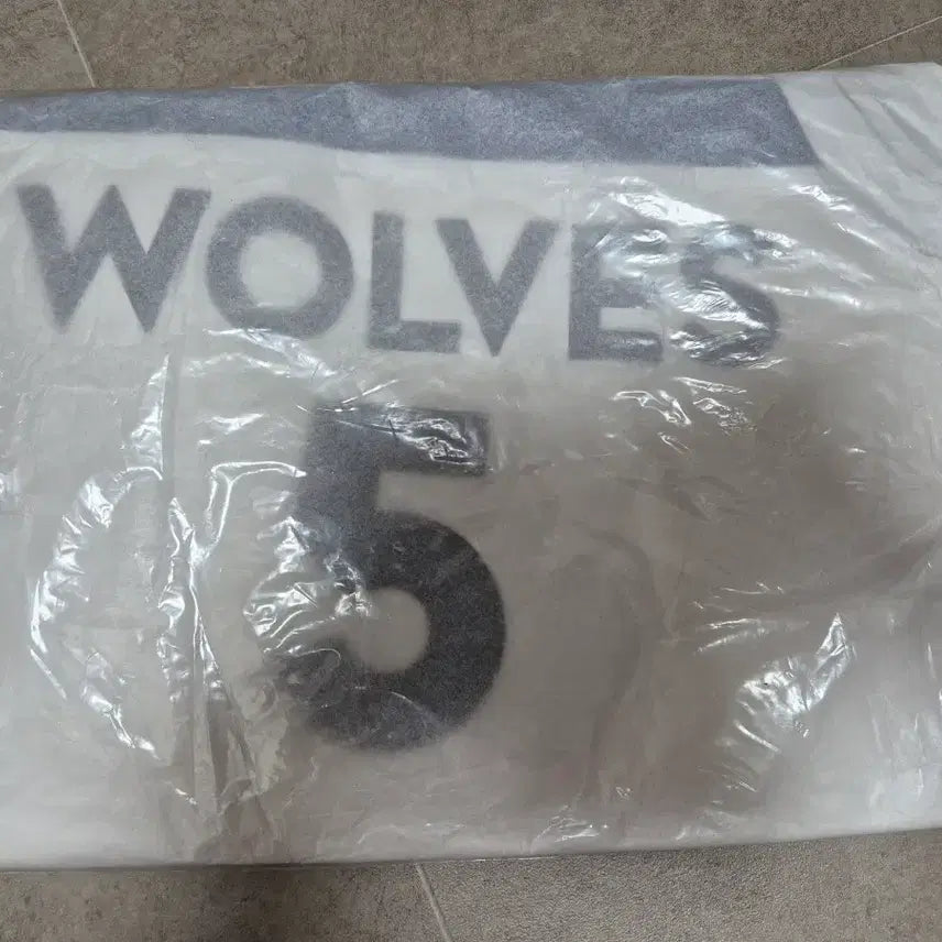 [BUNJANG] Nike Minnesota Timberwolves Anthony Edwards "Ant-Man" Swingman Basketball Jersey / 48 L 나이키 미네소타 팀버울브스 앤써니 에드워즈 앤트맨 스윙맨 농구 저지 유니폼 정품
