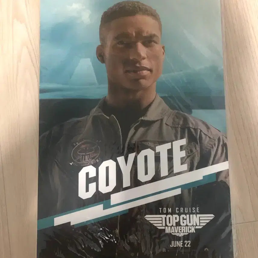 [BUNJANG] Top Gun Maverick Rooster & Coyote Poster / 탑건 루스터, 코요테 포스터