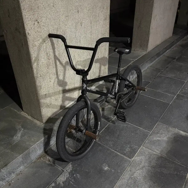 [BUNJANG] Fly Savanna Custom BMX Bike / 플라이 사바나 Bmx 커스텀(글필독!)