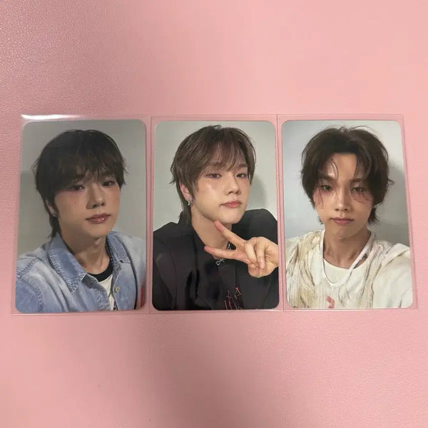 [BUNJANG] Xdinary Heroes XH 25 Summer Concert Entrance Photocard Bundle Set / 엑스디너리히어로즈 엑디즈 25 썸머콘 콘서트 입장포카 첫중막 3장 일괄 정수