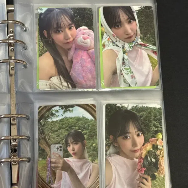 [BUNJANG] LE SSERAFIM Sakura Dicon Photocard Set / 르세라핌 사쿠라 디아이콘 포토카드 세트