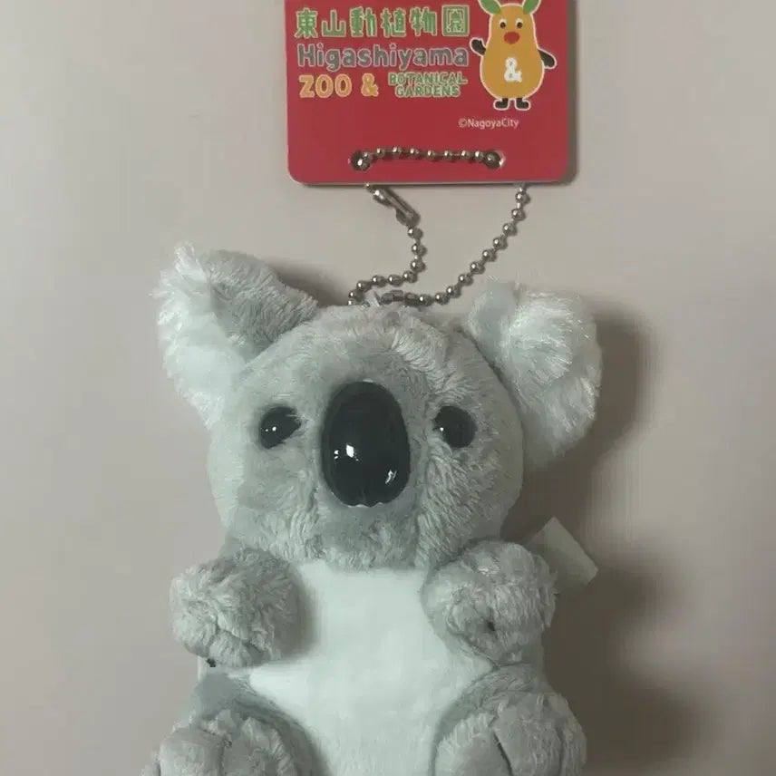 [BUNJANG] Higashiyama Zoo Koala Plush Keychain / 히가시야마 동물원 코알라 인형 키링 아이묭