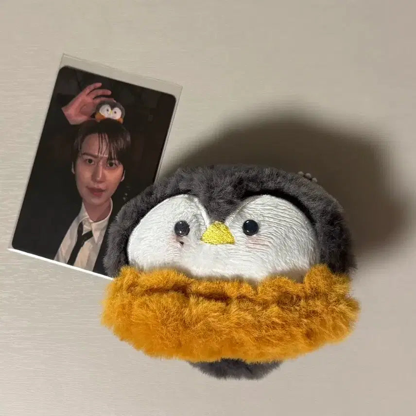 [BUNJANG] Kyuhyun (Super Junior) Penguin Plush Toy & Studio Photocard / 규현 뮤뱅 역조공 펭규 펭귄인형+공방포카