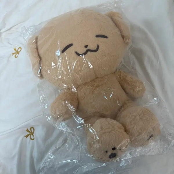 [BUNJANG] NCT DREAM Jeno Doll Wang Pocket Jen / 엔시티드림 드림 제노 인형 왕포켓젠 양도합니다!