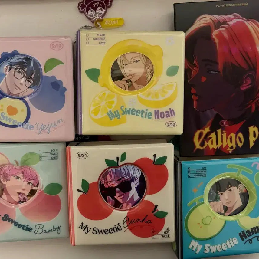 [BUNJANG] PLAVE Binder + Bundle Set Photocard (POB, Season's Greetings, Photocard Pack, etc.) / 플레이브 바인더 + 포카 일괄(미공포, 시그, 포카팩 등등)