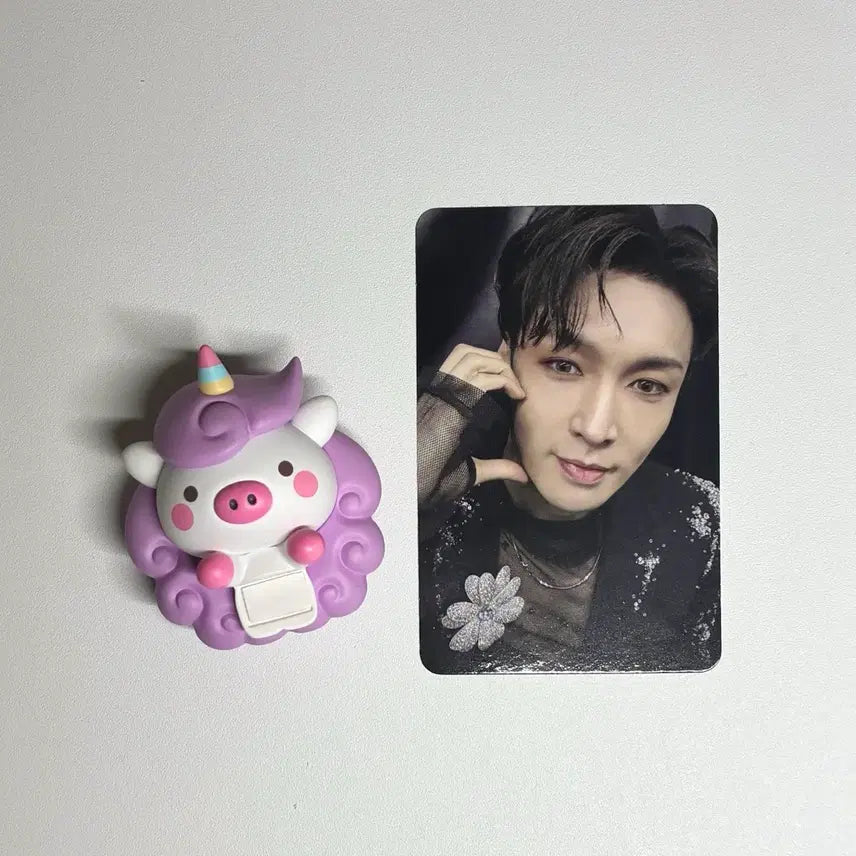 [BUNJANG] EXO Lay Photocard / 엑소 EXO 밥 히퍼