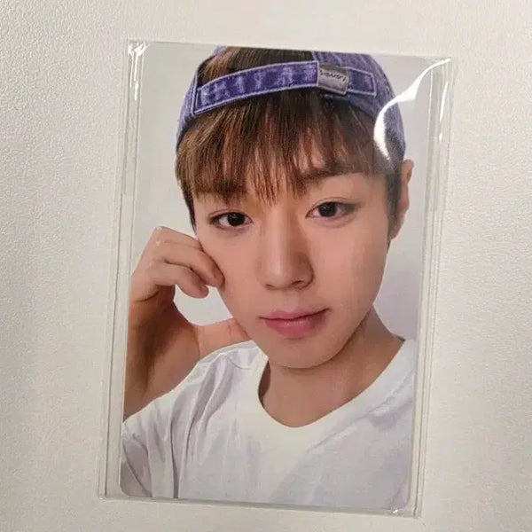 [BUNJANG] Park Jihoon Superdry Photocard Set (Sealed) / 슈퍼드라이 박지훈 포카set 미개봉