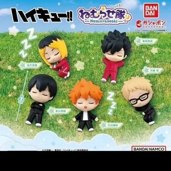 [BUNJANG] Haikyuu Nemurasetai Gacha Full Set Bundle Kuroo Tsukishima Kenma Hinata Kageyama / (풀세트 일괄) 하이큐 네무라세타이 가챠 쿠로오 츠키시마 켄마 히나타 카게야마