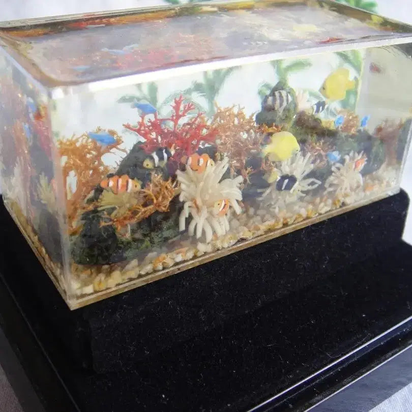 [BUNJANG] Japanese Artist Miniature Tropical Fish Tank Aquarium Decor / 일본 작가님 미니어처 수조 수족관 어항 열대어 물고기 육일돌 소품 오비츠 소품