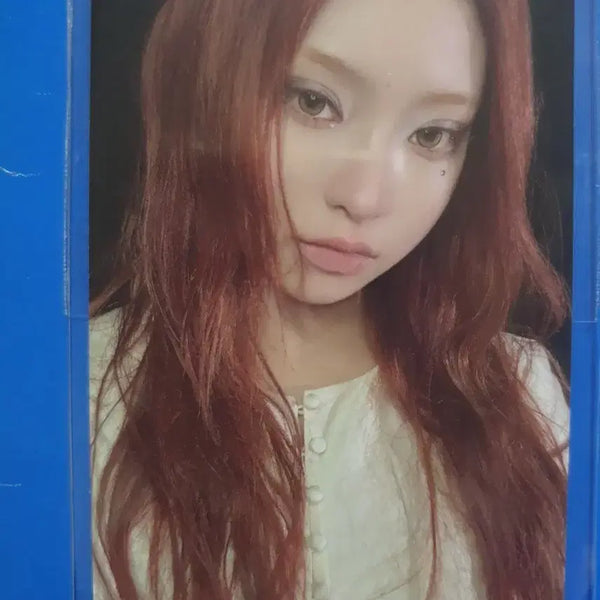 [BUNJANG] Kiiikiii Haum WHY Official Photocard / 키키 하음 why kiiikiii 공방포카