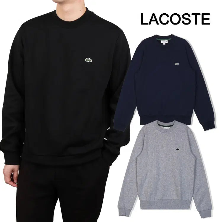 [BUNJANG] Lacoste Classic Logo Sweatshirt Unisex / 정품/새상품)라코스테 클래식 로고 맨투맨 남녀공용 (3COLOR)