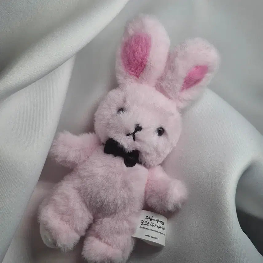 [BUNJANG] Gwaedam Chulgeun Character Plush Doll / 괴출 괴담출근 착한친구 착친 인형