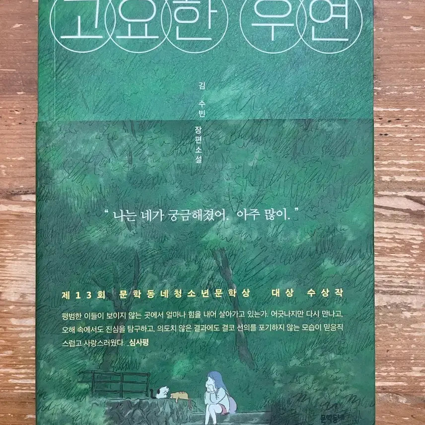 [BUNJANG] Kim Soo-bin "A Quiet Coincidence" / 고요한 우연 - 김수빈