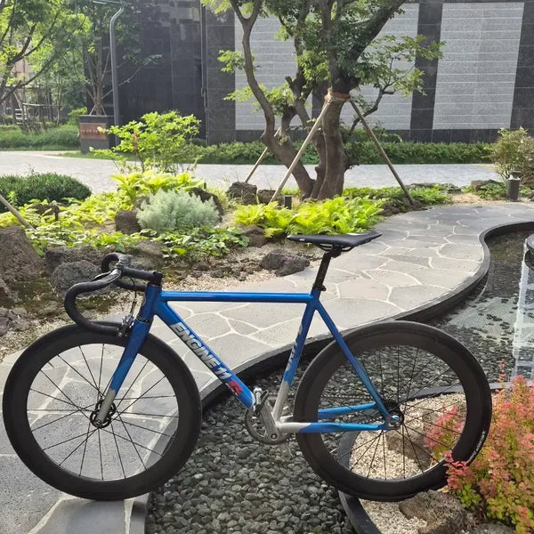 [BUNJANG] Engine11 Candy Blue Frameset (S-M) / 엔진11 캔디블루 프레임셋 판/대 급처