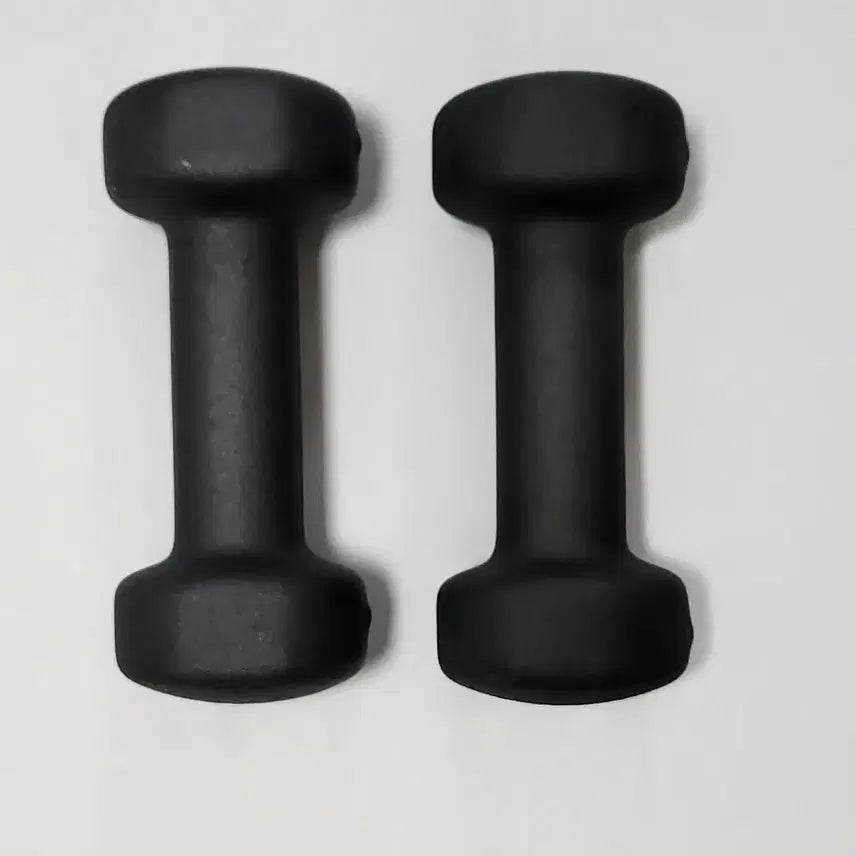 [BUNJANG] Comet Classic 2kg Non-Slip Dumbbell (Set of 2) / 코멧 클래식 논슬립 아령 2kg 2개