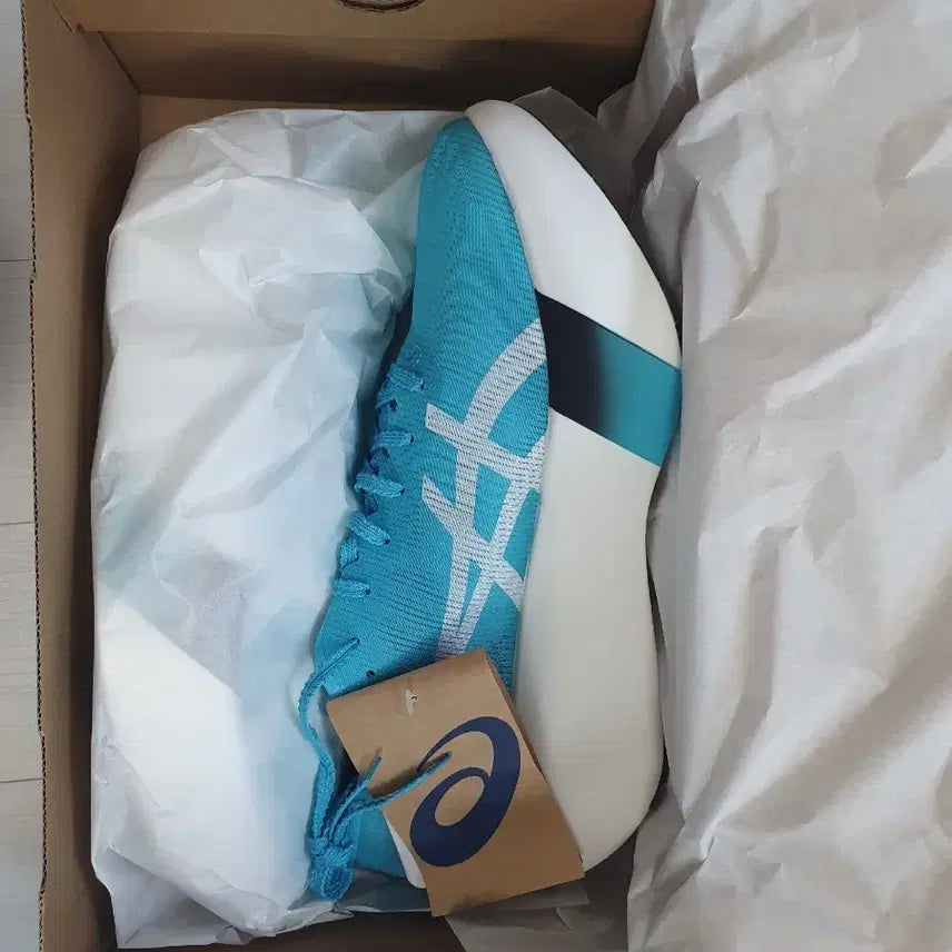 [BUNJANG] Asics Metaspeed Sky+ Running Shoes / 새상품 메타스피드레이 265,270 러닝화
