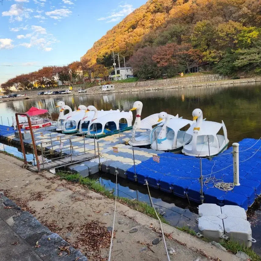 [BUNJANG] Manual Pedal Boat (White) - Set of 2 / 오리보트 수동 오리배 2대