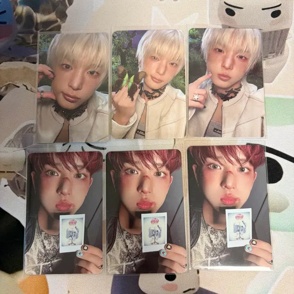 [BUNJANG] ENHYPEN Harua Bundle Set Photocard / 앤팀 하루아 포카 일괄 양도