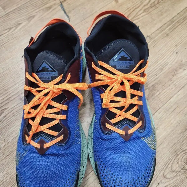 [BUNJANG] Nike Pegasus Trail 2 Gore-Tex Sneakers Blue / 나이키 페가수스 트레일 2 고어텍스 운동화 블루