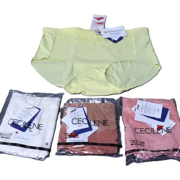 [BUNJANG] Lycra Panty Set (4-Pack) / w194 새상품 여성속옷 라이크라 팬티4장 /여성100 /사놀까