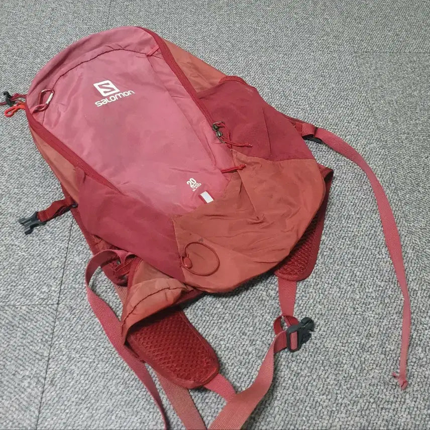 [BUNJANG] Salomon 20L Backpack Bag / 살로몬 20L 백팩 가방 판매합니다