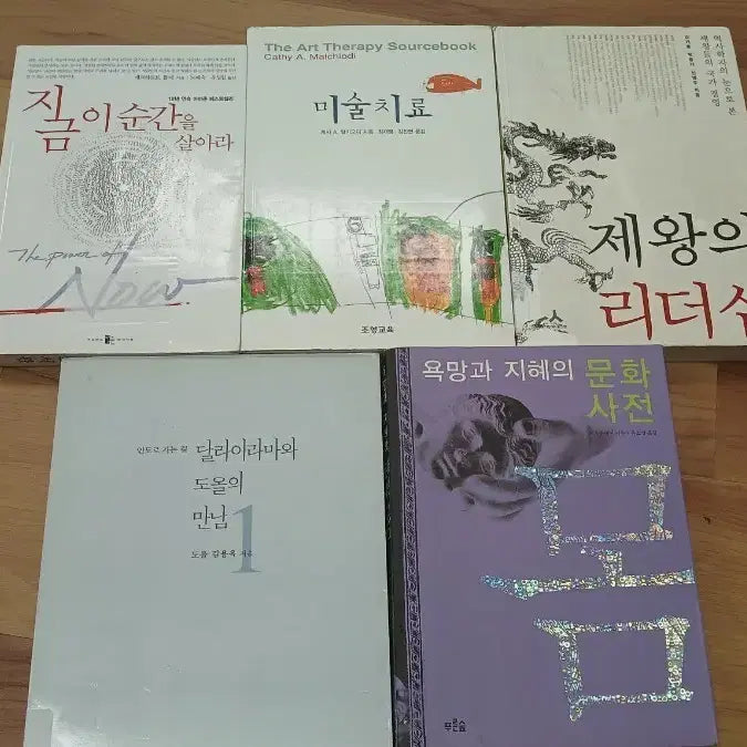 [BUNJANG] Collection of Korean Books on Mindfulness, Art Therapy, Leadership, Philosophy, and Culture / 지금 이 순간을 살아라 / 미술치료 / 제왕의 리더십 / 달라이라마와 도올의 만남 / 욕망과 지혜의 문화사전 몸
