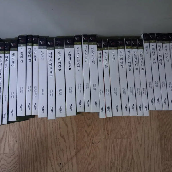 [BUNJANG] Literature Collection Small Textbook Size / 문학전집