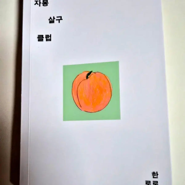[BUNJANG] Grapefruit Apricot Club Hanro Lo Book / 자몽 살구 클럽 한로로 최상