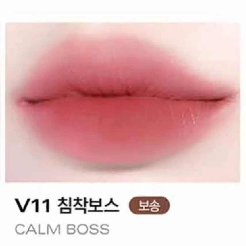 [BUNJANG] BBIA Last Velvet Tint V11 Calm Boss / 삐아 라스트 벨벳 틴트 V11 침착보스