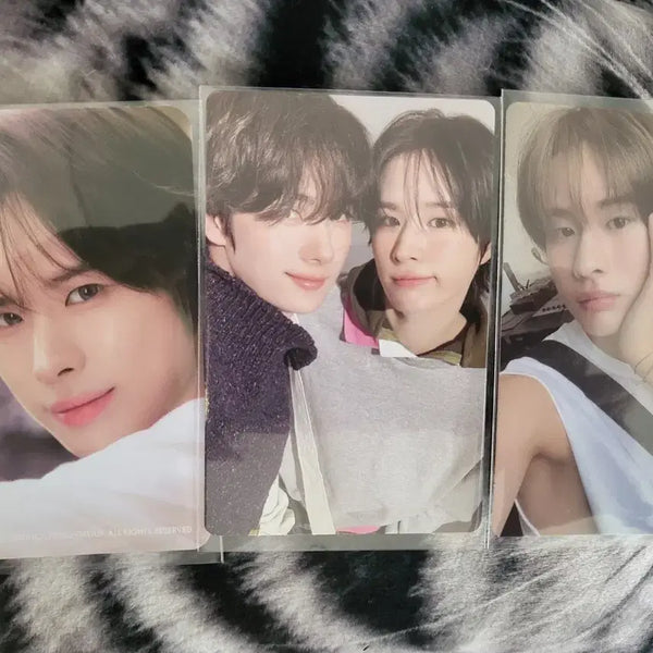 [BUNJANG] TWS Kyungmin Photocard / TWS 투어스 경민
