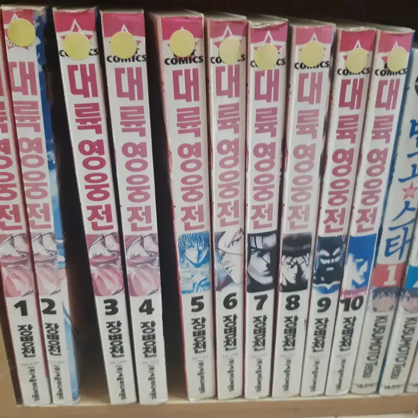 [BUNJANG] Continent Heroes Complete 1-10 Set Used Comic Books / 대륙영웅전 1-10 완결 중고만화책 만화짱많아 프로안전상점