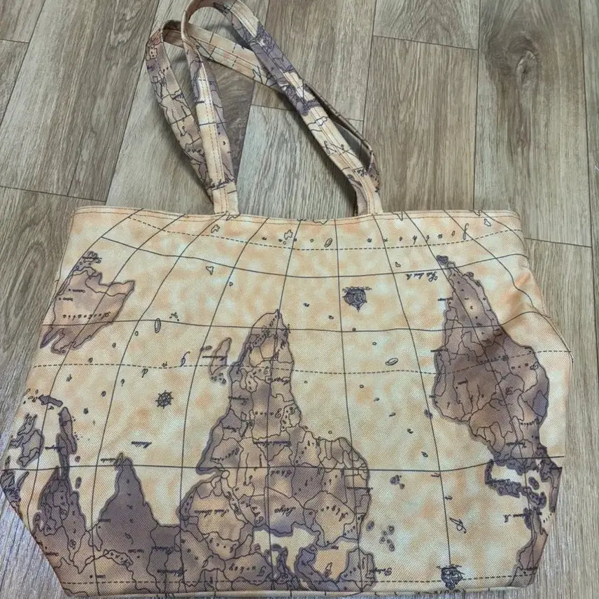 [BUNJANG] World Map Tote Bag / 세계지도 토트백