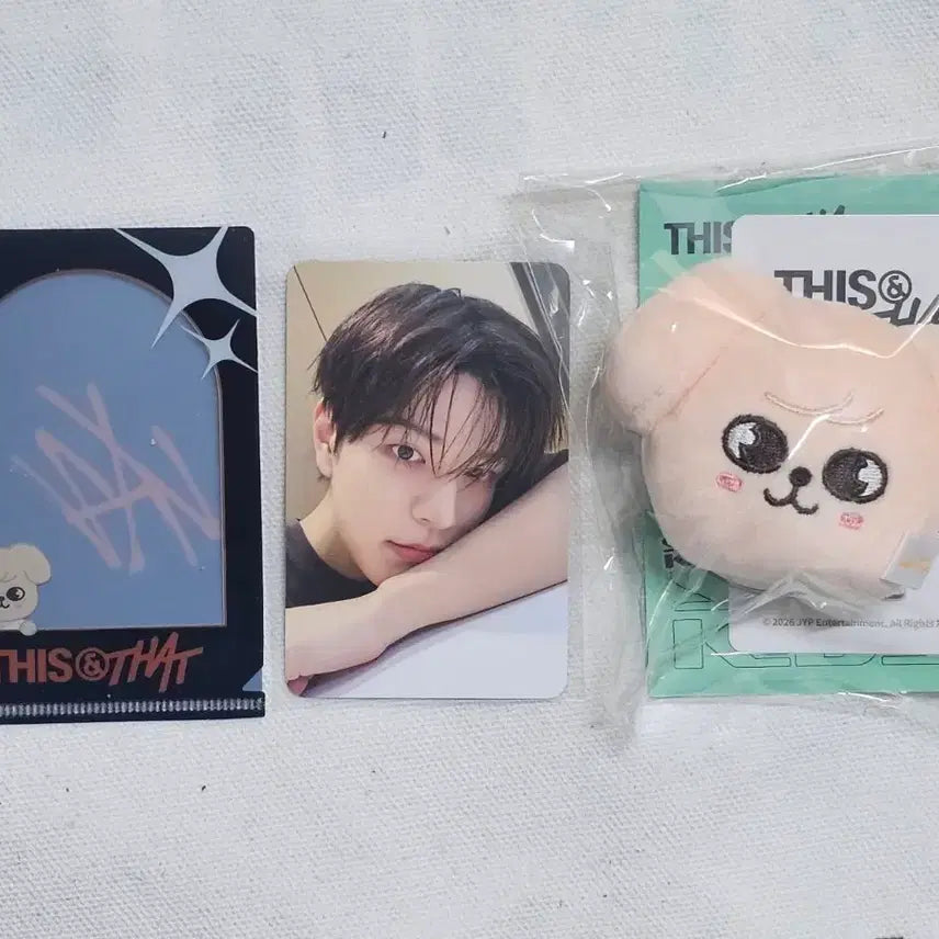 [BUNJANG] Stray Kids THIS & THAT Popup Store Magnetic Holder (POB) / 스트레이키즈 스키즈 팝업  3만원 특전 마그네틱 홀더