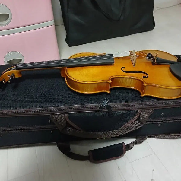 [BUNJANG] 4/4 Size Violin with Case / 바이올린 (4/4)