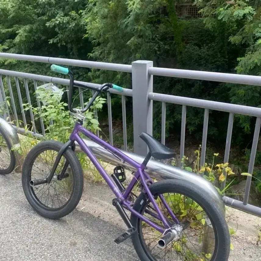 [BUNJANG] VistaBike Full Custom BMX Bicycle / 비스타바이크 풀커스텀bmx 판/대 급처 내고가능 게시글주인바꿨어요50만원에올라와있는거 말고여기로연락주세요