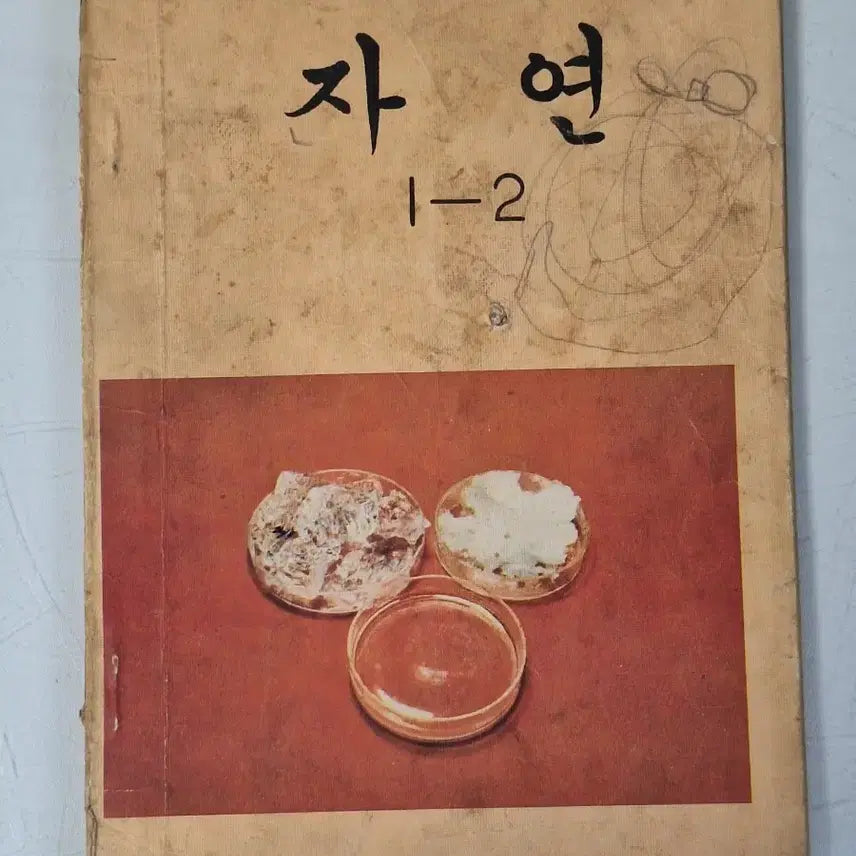 [BUNJANG] 1973 National Elementary School Textbook - Nature Vol. 1-1 / 근대사 수집 국민학교 어린이 교과서 교육자료 73년