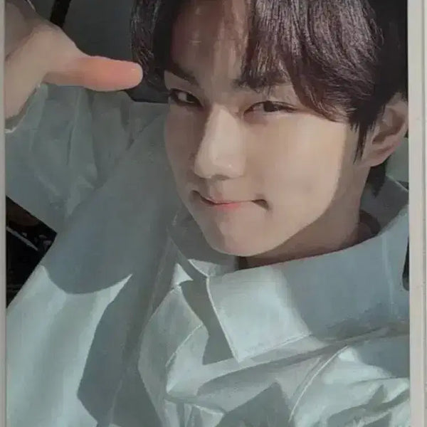 [BUNJANG] Enhypen Hakanai Sunny Garden Photocard / 엔하이픈 하카나이 햇살정원