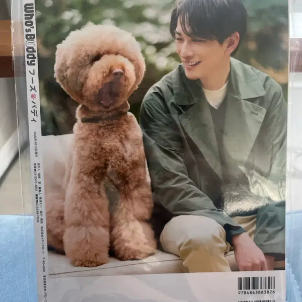 [BUNJANG] Machiida Keita Who's BUDDY Magazine / 마치다 케이타 Who's BUDDY 푸즈 버디 잡지 새 상품