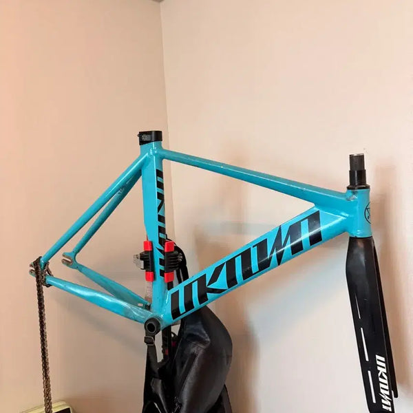 [BUNJANG] AGGRO x UNKNOWN Singularity 2 Fixie Frame / 어그로 X 언노운 싱귤2 픽시 프레임 판매