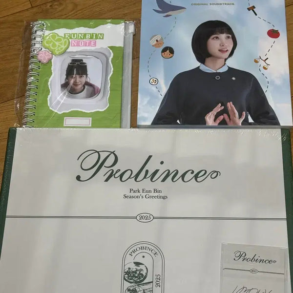 [BUNJANG] Park Eun Bin Bundle Set / 박은빈 굿즈 일괄판매