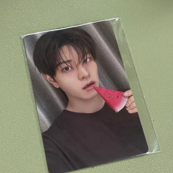 [BUNJANG] Stray Kids Seungmin Watermelon Photocard / 스트레이키즈 스키즈 승민 수박 팬즈샵 포카 양도