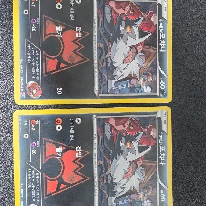 [BUNJANG] Pokemon Card Magma's Poochyena CP1 / 포켓몬 카드 마그마단의 포챠나 cp1
