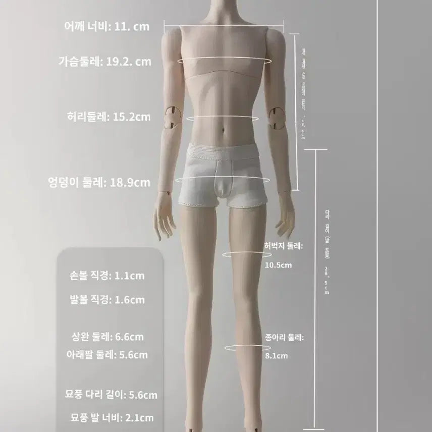 [BUNJANG] BJD 1/4 Scale Male Body (Unused) / 구관 4분 bjd 남아 바디 구체관절인형 풀박스 바디